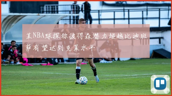 某NBA球探称彼得森潜力超越比迪班萨有望达到克莱水平