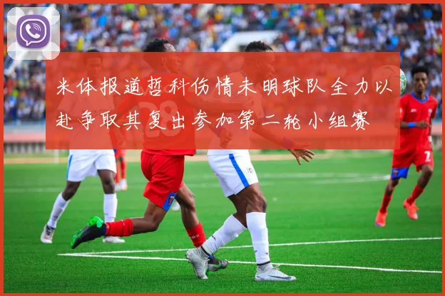 米体报道哲科伤情未明球队全力以赴争取其复出参加第二轮小组赛